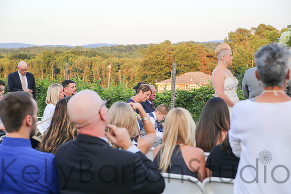 melissa+anthonyRAW-214