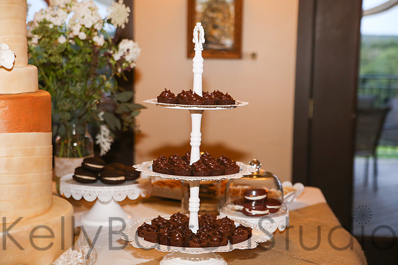 melissa+anthonyRAW-450