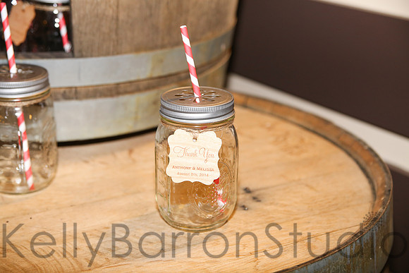 melissa+anthonyRAW-473
