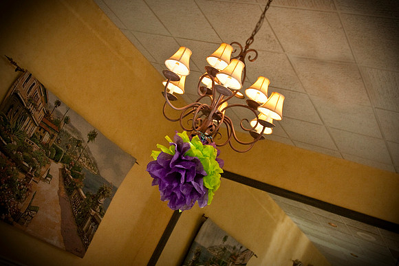 _MG_6519c