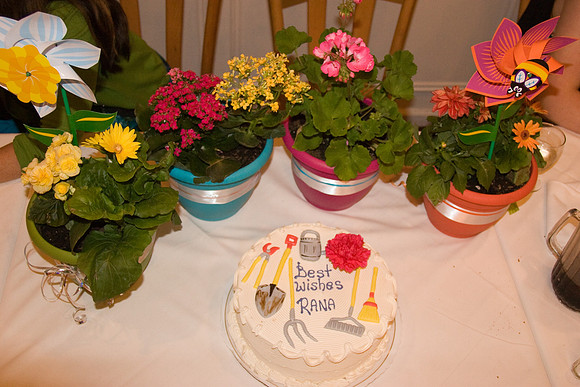 rana bridal shower raw-183
