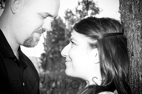 nicole says yes-7