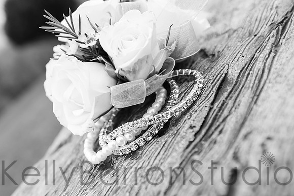 nicole+anthony-14