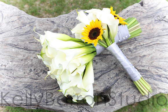 nicole+anthony-17