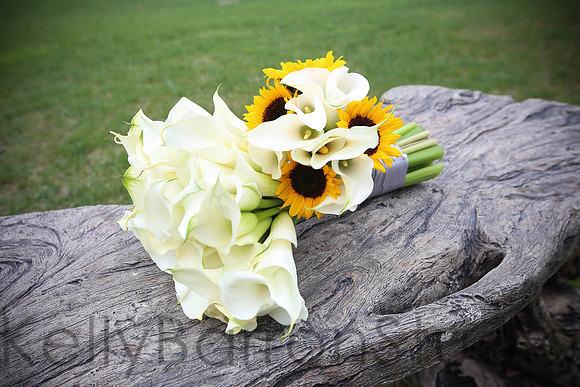 nicole+anthony-18