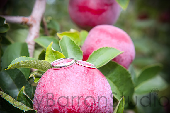 stephanie+ricky-346