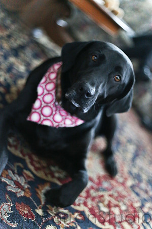 chloe turns 2-75