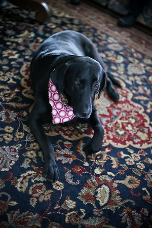 chloe turns 2-74
