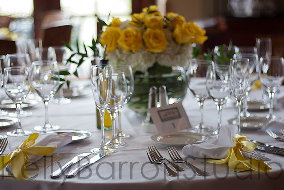 {lisa+joe}raw-200