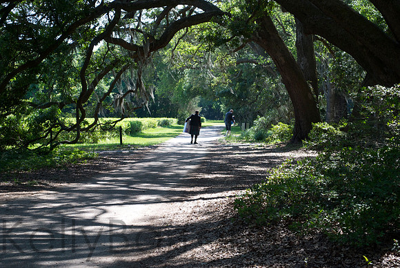 DSC_0010a