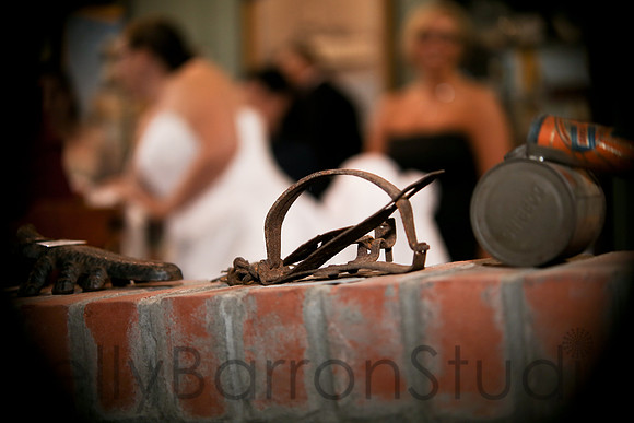 {jerilynn+stephen}-67